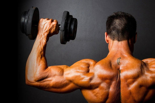 Zinc and Testosterone: Does zinc really boost your Testosterone Levels?